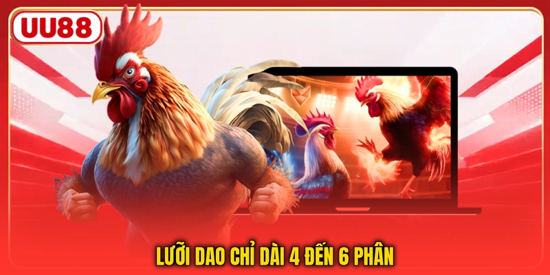Lưỡi dao chỉ dài 4 đến 6 phân
