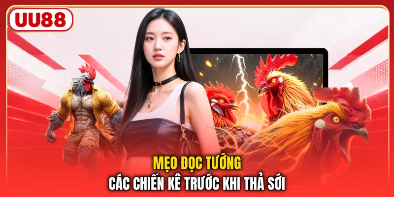 Mẹo đọc tướng các chiến kê trước khi thả sới