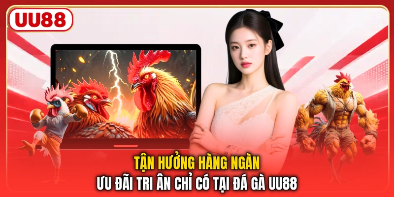 Tận hưởng hàng ngàn ưu đãi tri ân chỉ có tại đá gà UU88